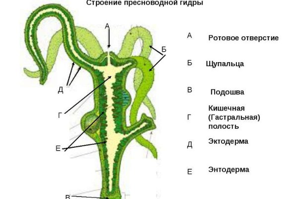 Кракен нарколог