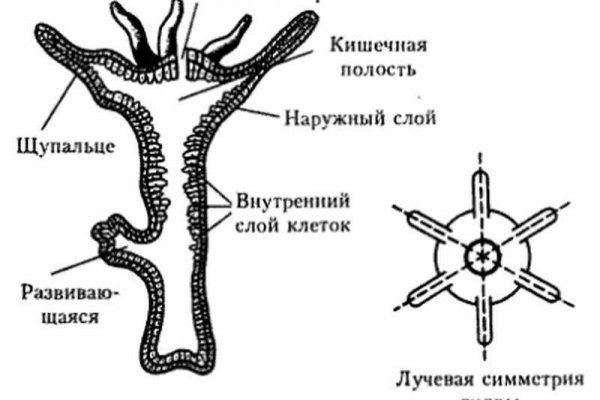 Kraken darknet market ссылка