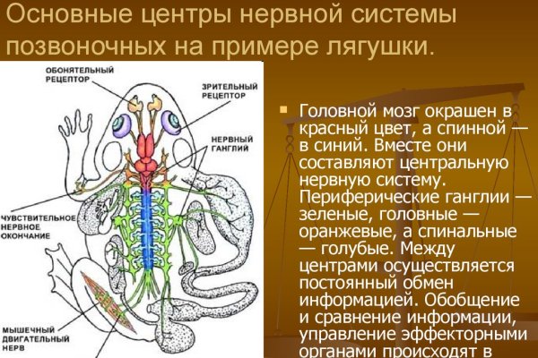 Как зайти на кракен браузеры