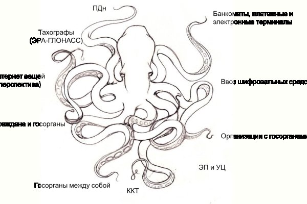 Kraken зеркало krakens13 at